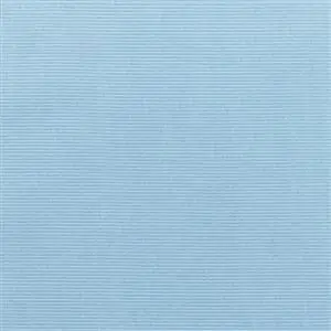 Sunbrella Canvas Air Blue (5410)