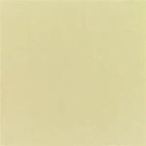 Sunbrella Canvas Antique Beige (5422)