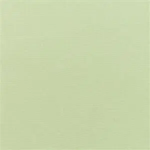 Sunbrella Canvas Celadon (5419)