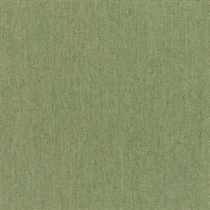 Sunbrella Canvas Fern (5487)