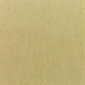 Sunbrella Canvas Heather Beige (5476)