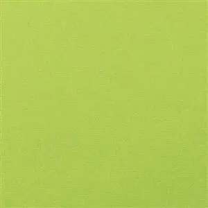 Sunbrella Canvas Macaw (5429)