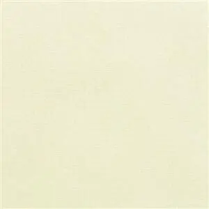 Sunbrella Canvas Natural (5404)