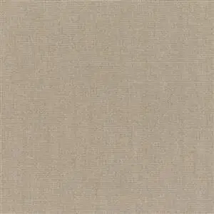 Sunbrella Canvas Taupe (5461)