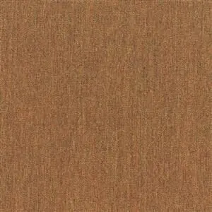 Sunbrella Canvas Teak (5488)
