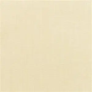 Sunbrella Canvas Vellum (5498)