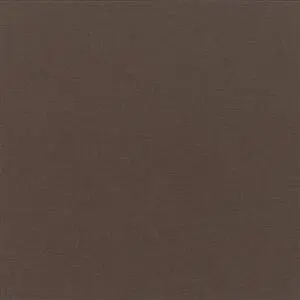 Sunbrella Canvas Walnut (5470)