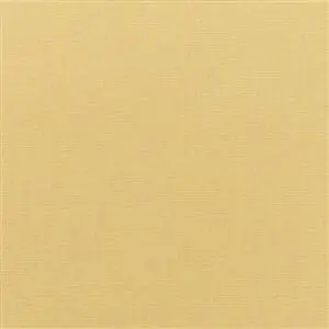 Sunbrella Canvas Wheat (5414)