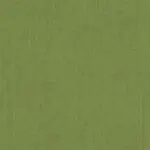 Deluxe Sunbrella Rocker Cushion Set-Sunbrella Spectrum Cilantro (48022)