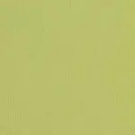 Sunbrella? Fabric Rocking Chair Cushion Set-Sunbrella Spectrum Kiwi (0592B)