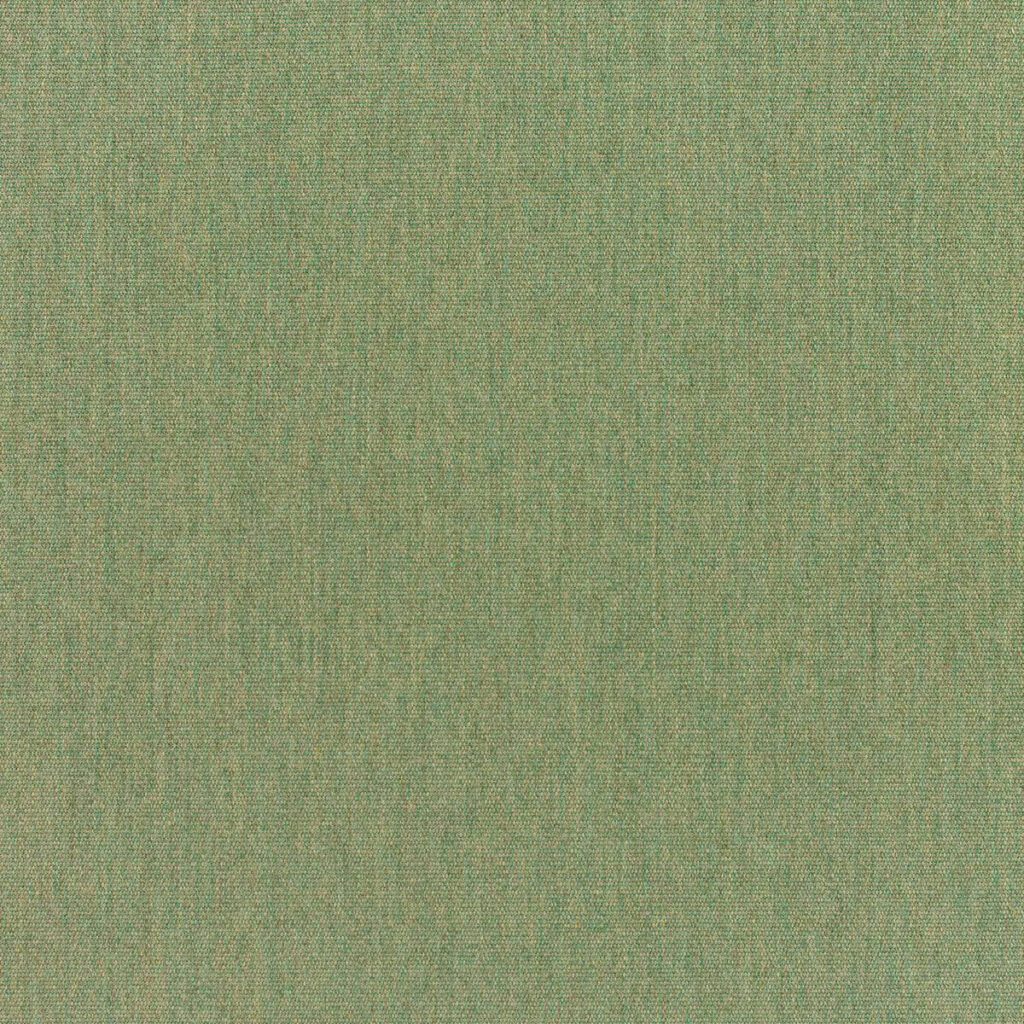 Canvas Fern